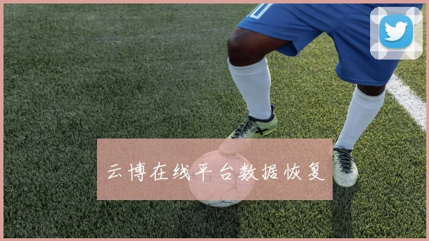 云博在线平台数据恢复