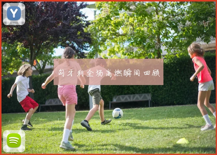 匈牙利全场高燃瞬间回顾