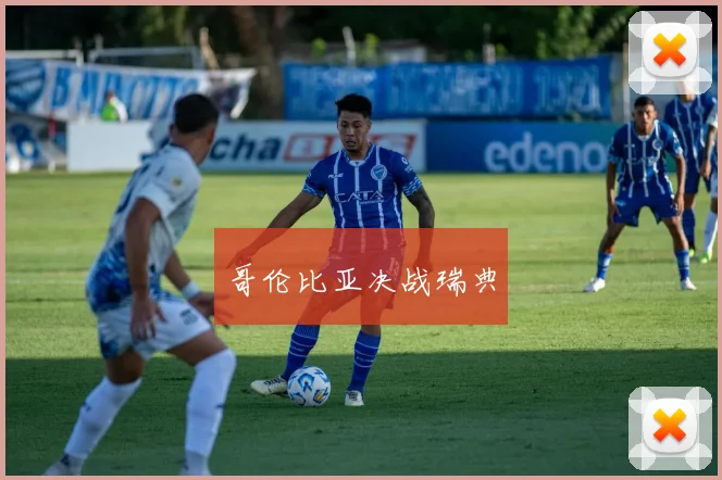 哥伦比亚决战瑞典