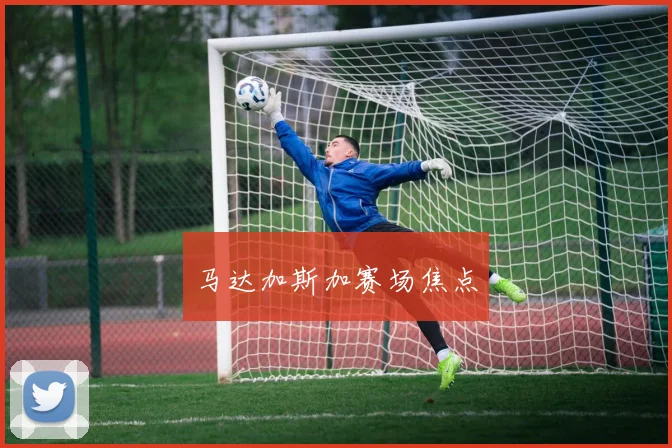 马达加斯加赛场焦点
