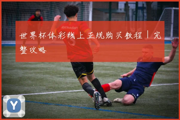 世界杯体彩线上正规购买教程｜完整攻略