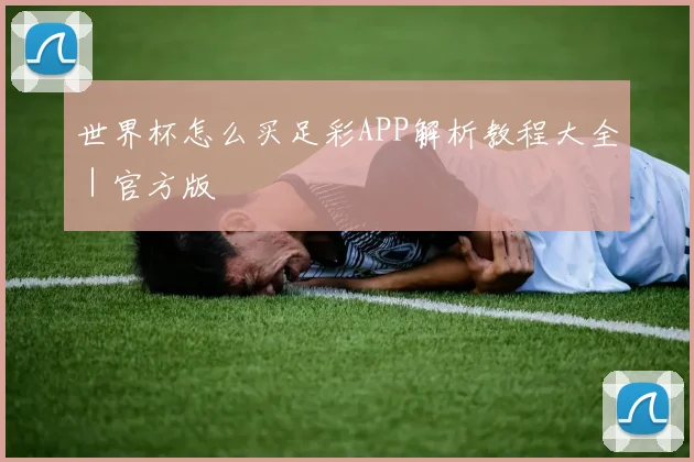 世界杯怎么买足彩APP解析教程大全｜官方版