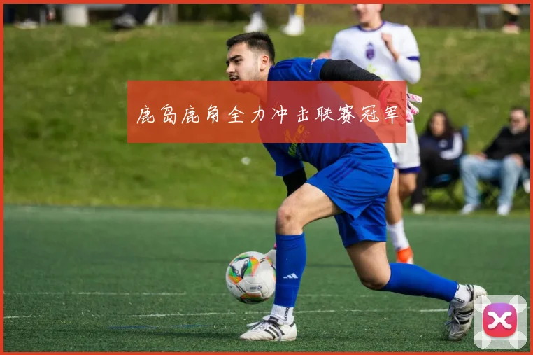 鹿岛鹿角全力冲击联赛冠军