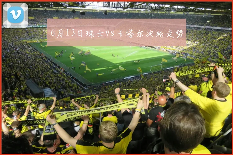 6月13日瑞士vs卡塔尔次轮走势