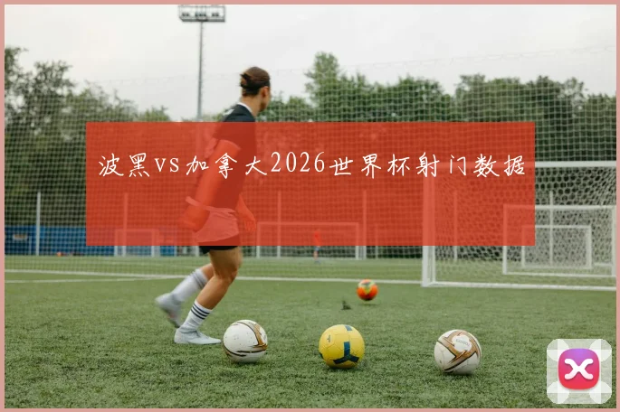波黑vs加拿大2026世界杯射门数据